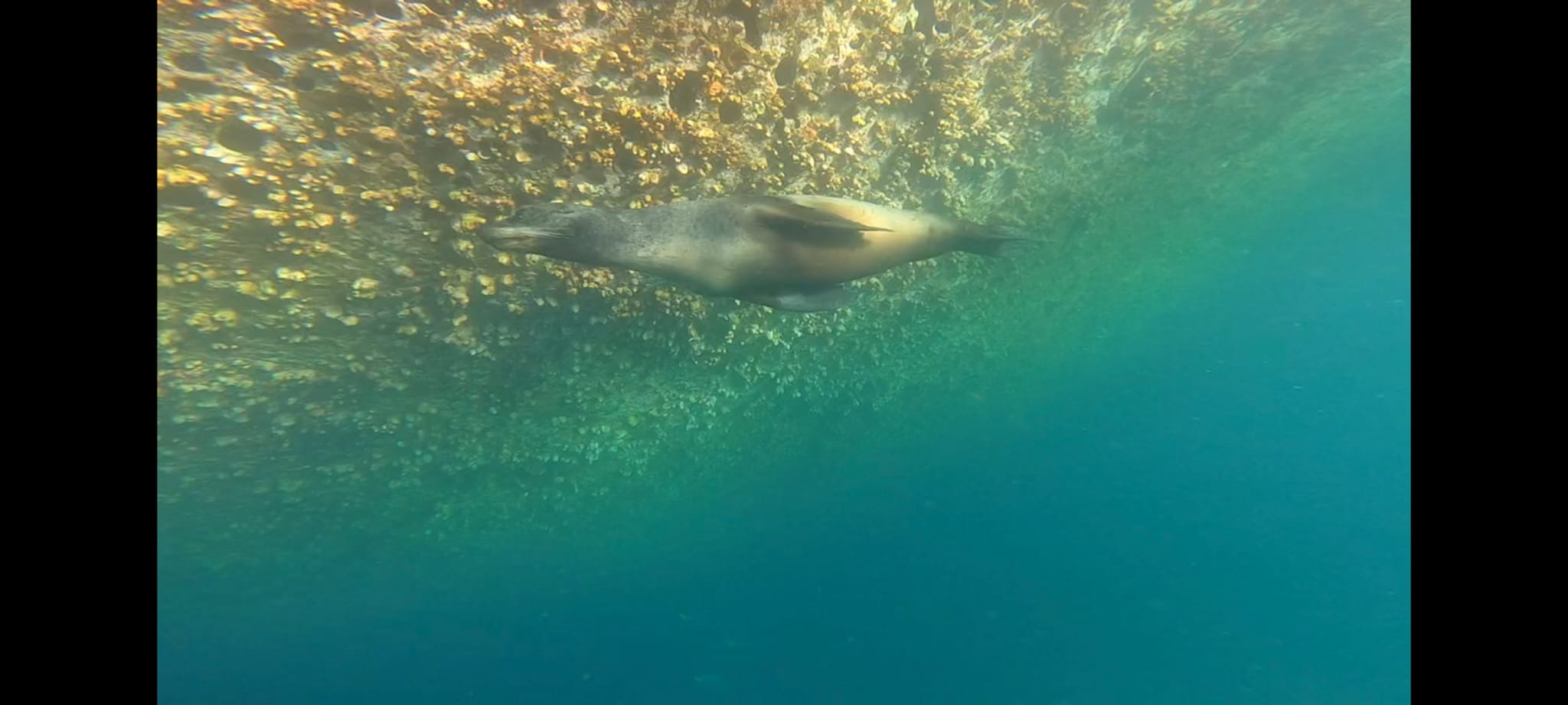 Viaggio Ecuador e Galapagos